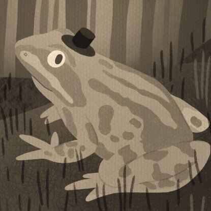 Auf dem Bild ist der Klimaverlierer Grasfrosch in Sepa zu erkennen.