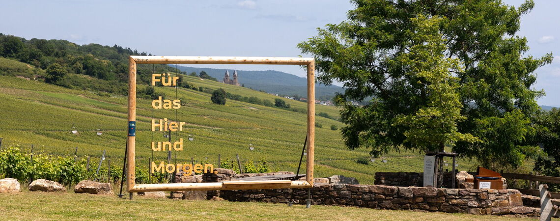 Foto mit Plakatrahmen aus Holz und Sitzbank in der Natur
