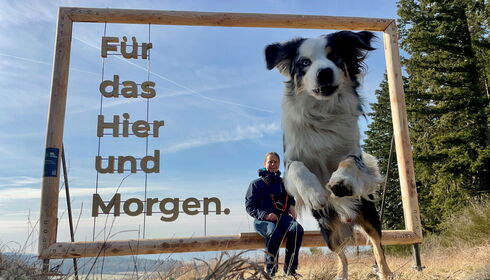bild links unten