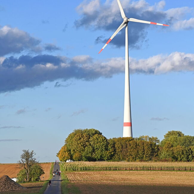 Foto mit einem Windrad in einer Landschaft aus Feldern und Bäumen