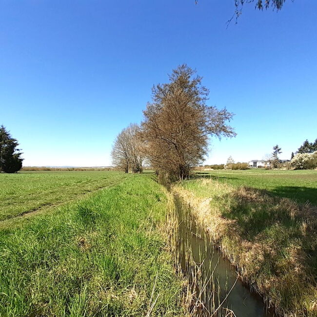 Bild eines schmalen Gewässergrabens mit beidseitig angrenzendem Grünland