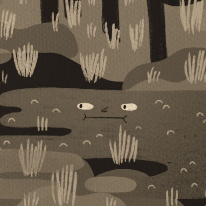 Auf dem Bild ist der Klimaverlierer Moor in Sepa zu erkennen.