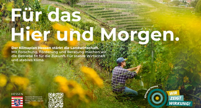 Plakat mit einem Weinbauern, das für den Klimaplan Hessen wirbt