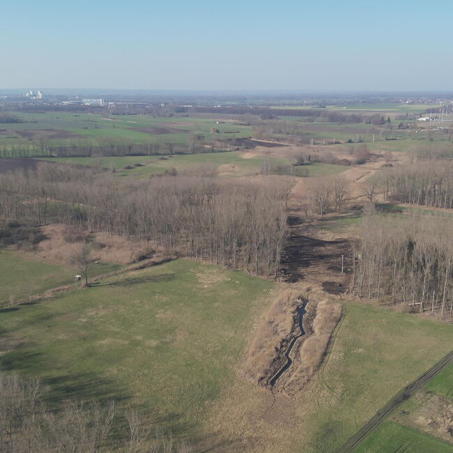 Luftbildaufnahme einer Altrheinschlinge mit angrenzenden Feldern und Gehölzen