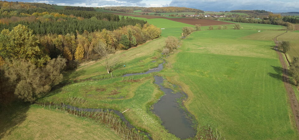Luftbildaufnahme einer renaturierten Auenlandschaft
